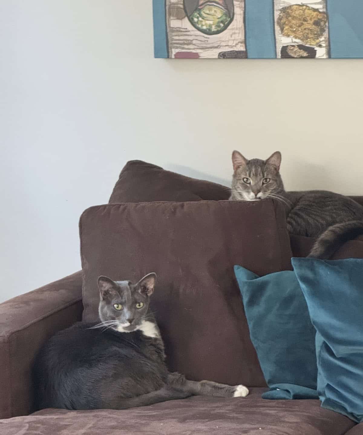 Weekend Open Thread: Non-Work Discussion and Book Recommendation